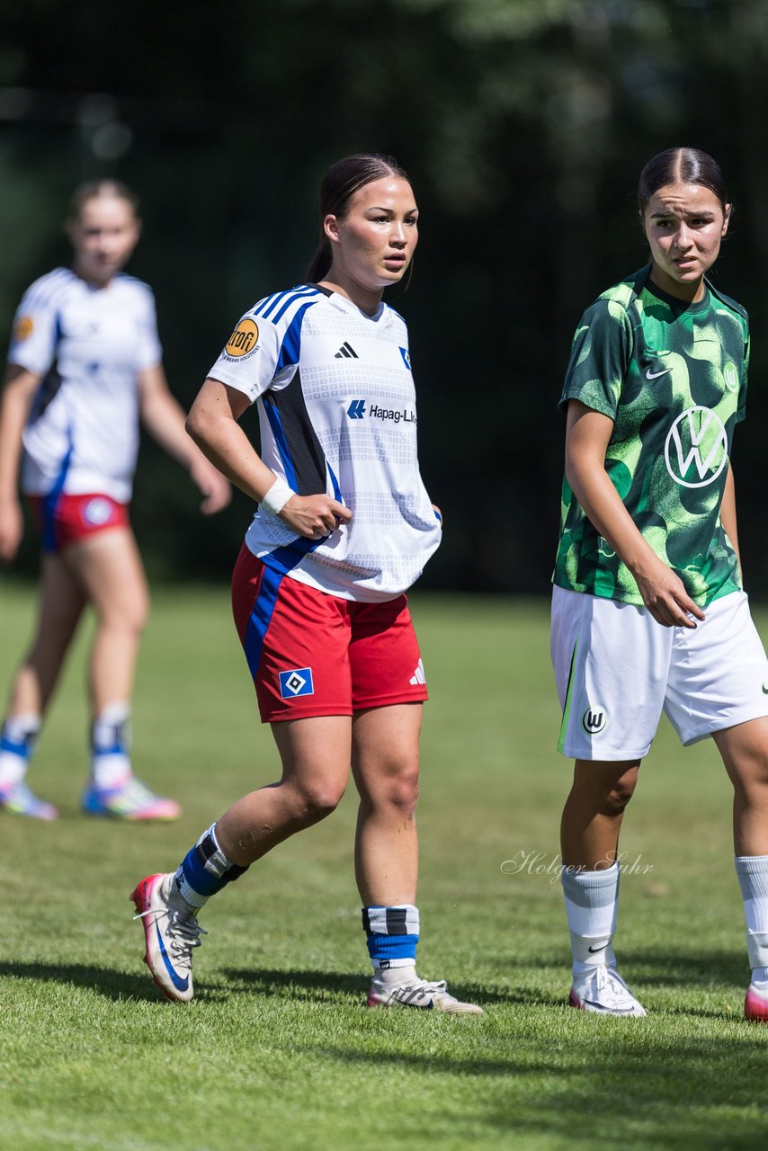 Bild 141 - wBJ Hamburger SV - VfL Wolfsburg : Ergebnis: 5:1